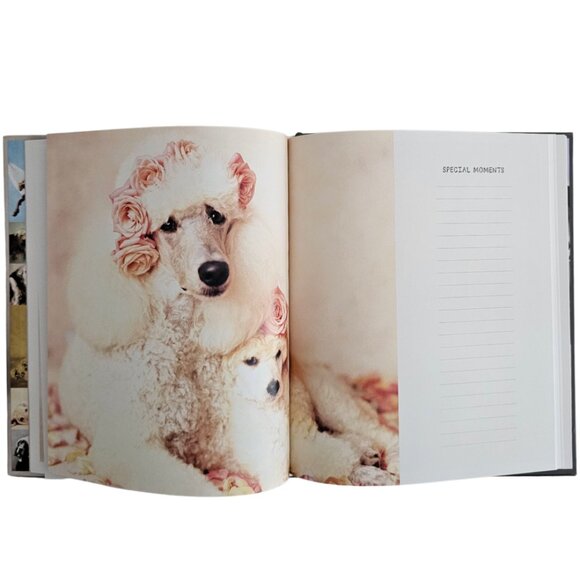My Dog Record Book By Rachael Hale | Hardcover | NWT | Gray Red - Picture 6 of 12